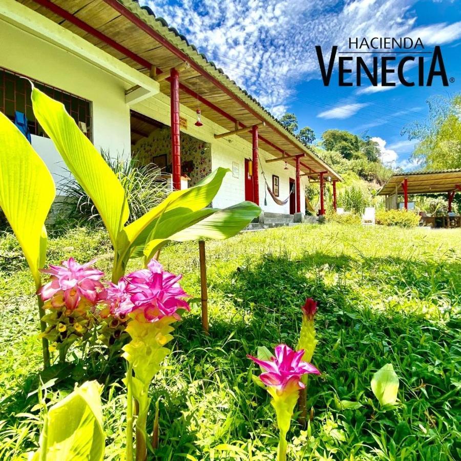 Hacienda Venecia Hostel San Peregrino Eksteriør billede