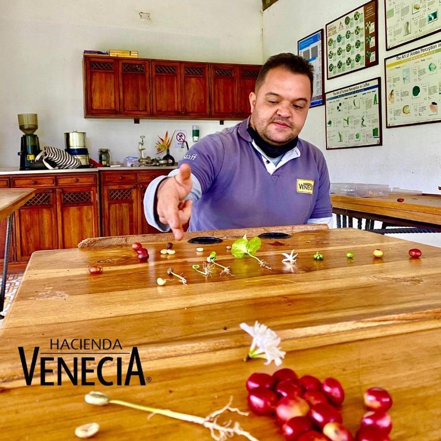 Hacienda Venecia Hostel San Peregrino Eksteriør billede